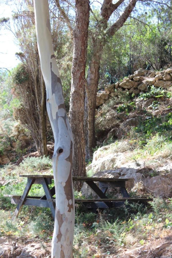 La Pineta Villa Favignana Bagian luar foto